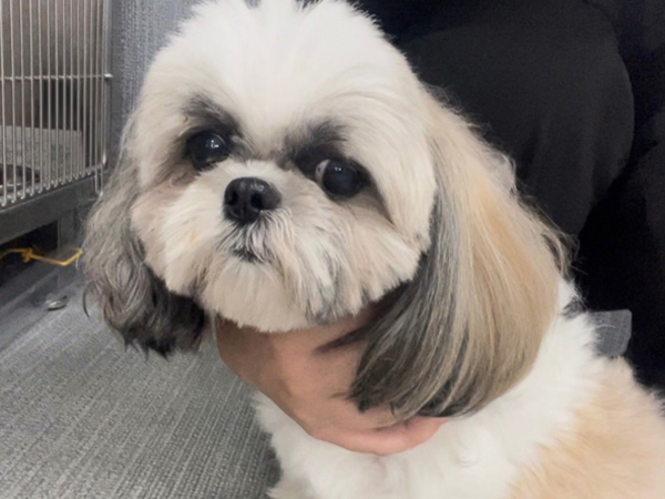 生徒が撮影したモデル犬♪～PART①～